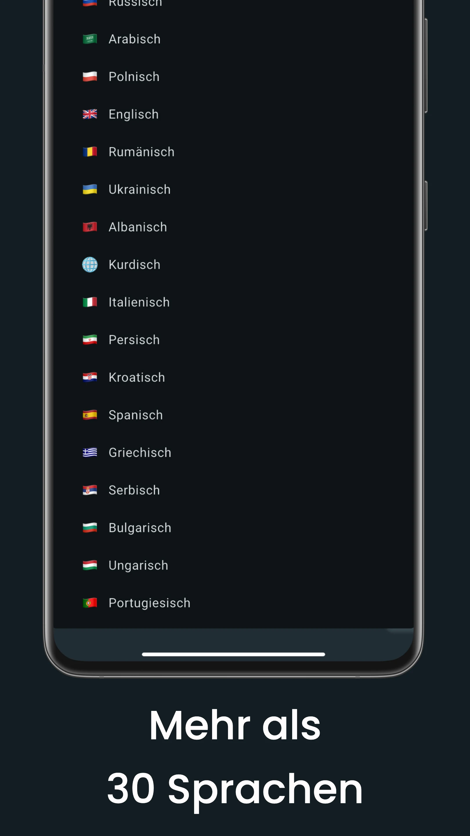 Leben in Deutschland screenshot